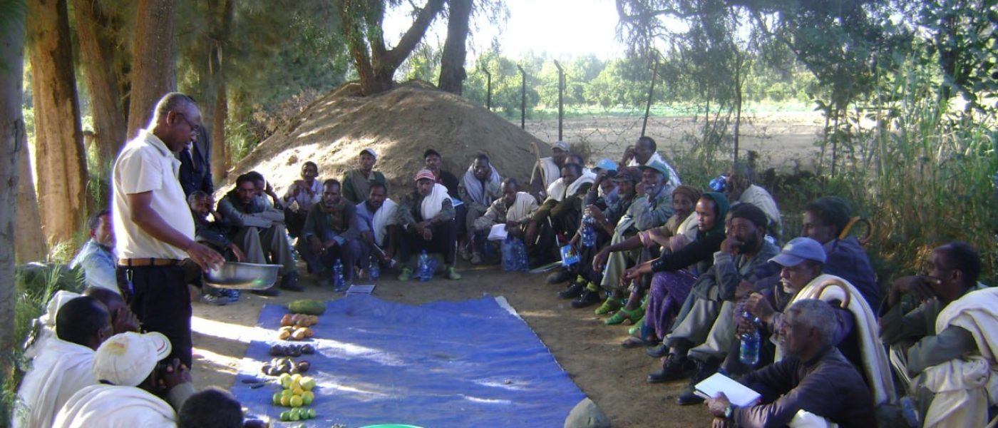 photo_5886385772070815674_y